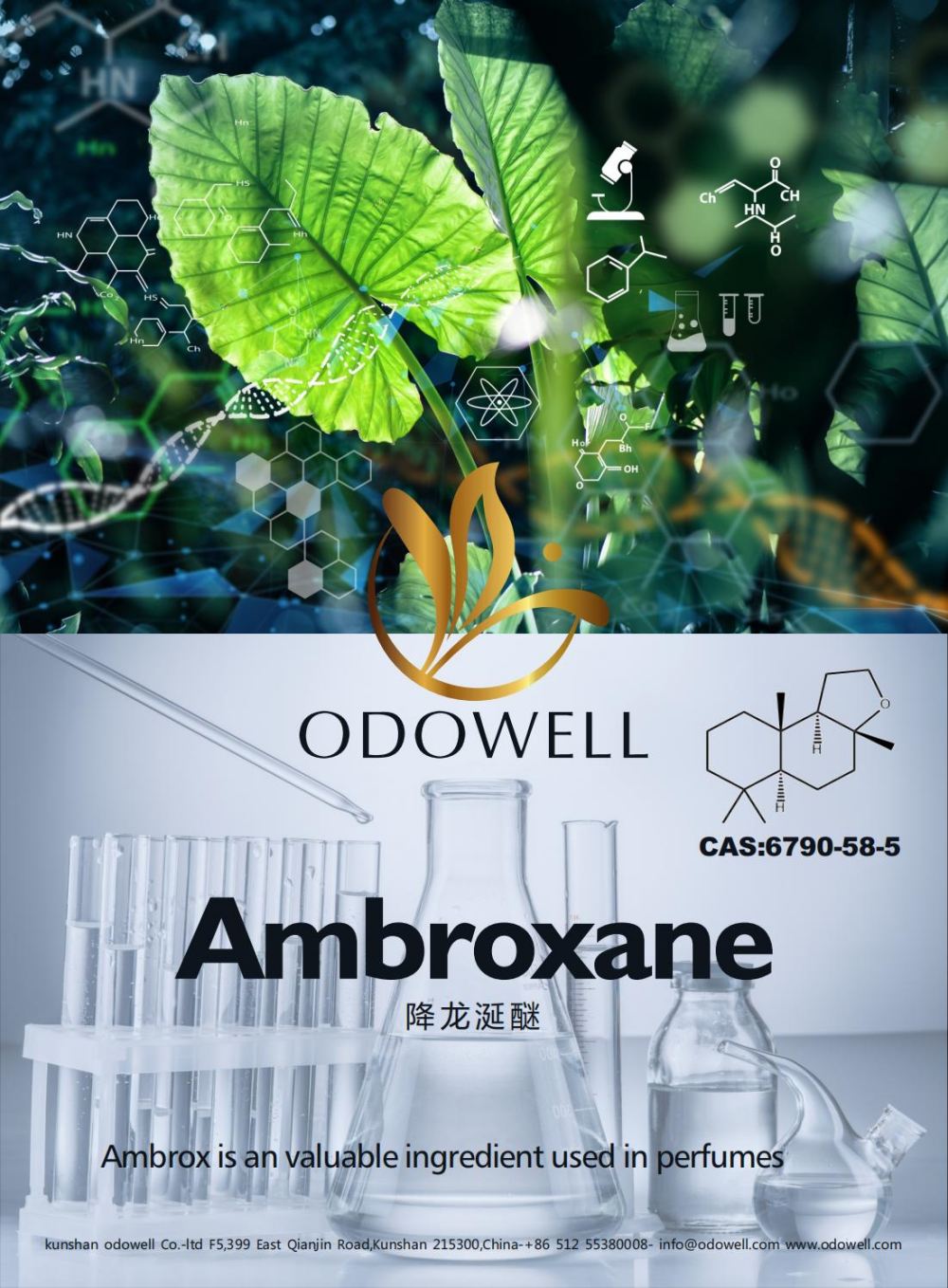 Odowell comemora um ano de sucesso para Ambroxane (Ambrox)