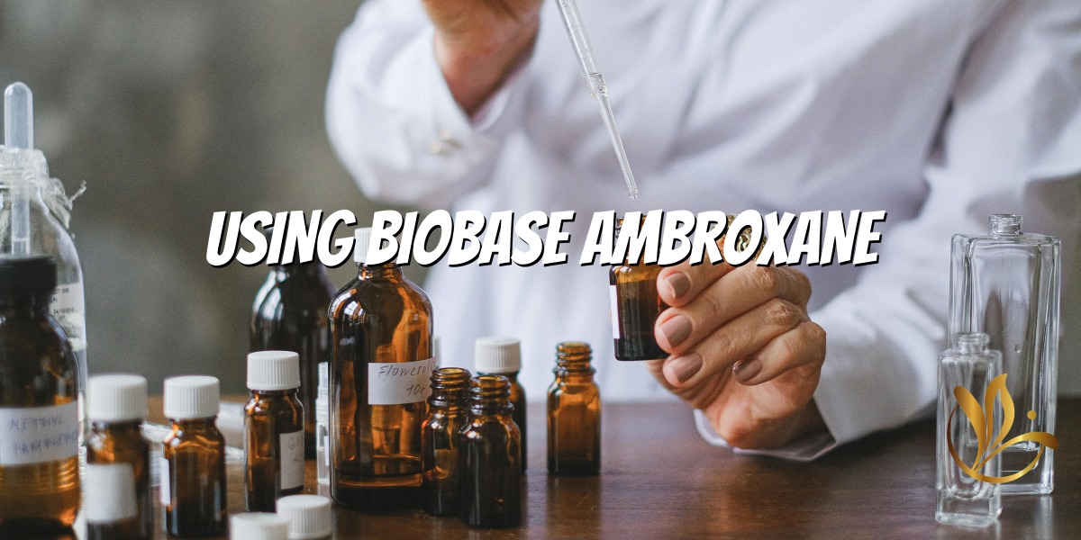 Dominar o Ambrox - um guia de perfume para criações atemporais