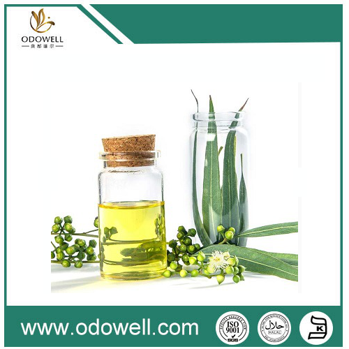 Apresentando nosso petróleo de eucalipto premium (Eucalyptus globulus) - natural, autêntico e versátil