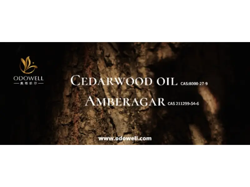 O seu perfume exclusivo é verdadeiramente único?