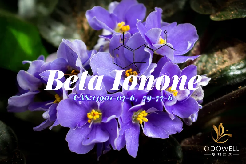 Beta Ionone – Cetona Violeta-Woody Clássica da ODOWELL para Profundidade de Fragrância Fina