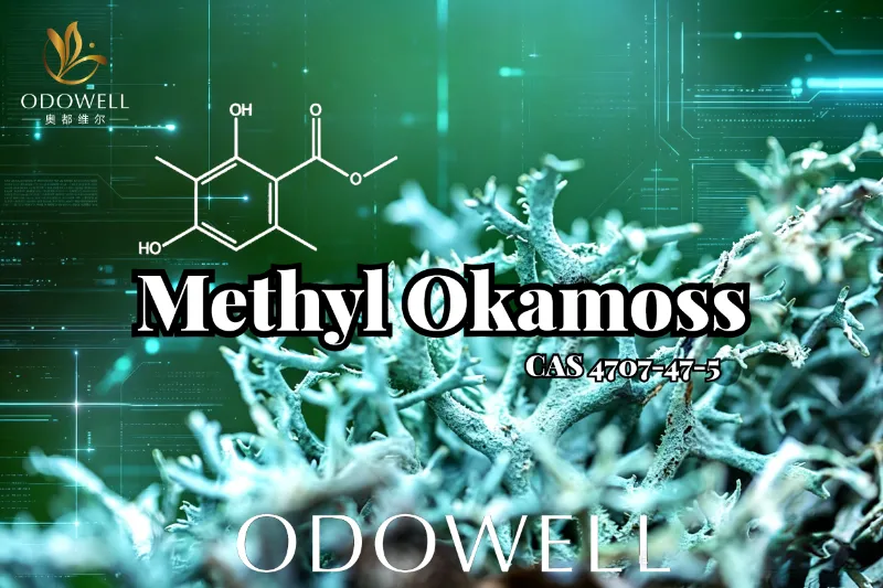 ODOWELL apresenta Methyl Okamoss: musgo de carvalho sintético autêntico para domínio de chipre e fougère