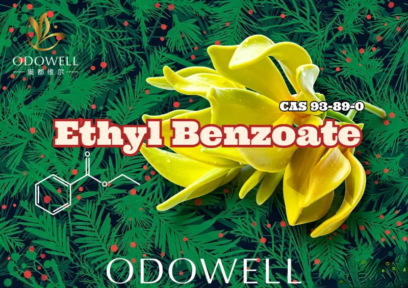ODOWELL lança benzoato de etila: éster quente de gaultéria-ylang para elegância floral e oriental