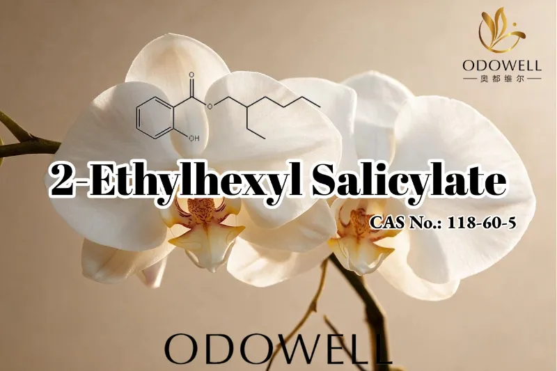ODOWELL recomenda salicilato de 2-etilhexila para aplicações em fragrâncias, cosméticos e cuidados pessoais