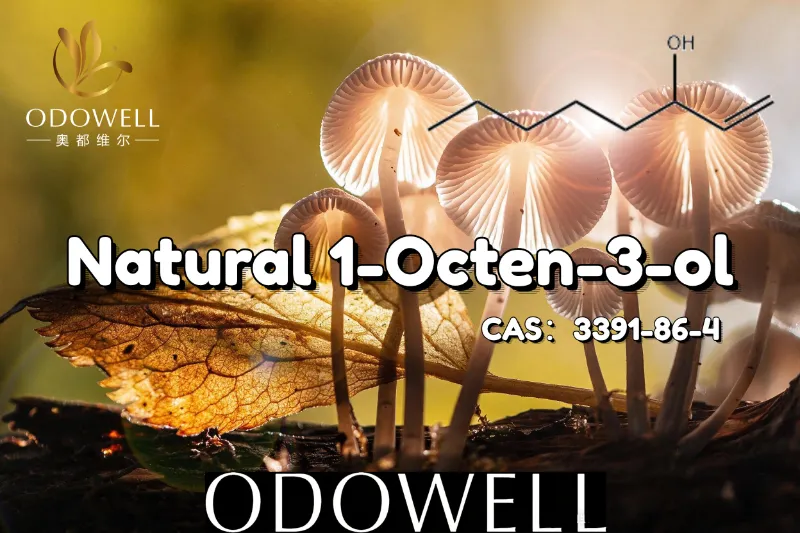 ODOWELL recomenda 1-Octen-3-ol natural para aplicações com sabor semelhante a cogumelo e terroso